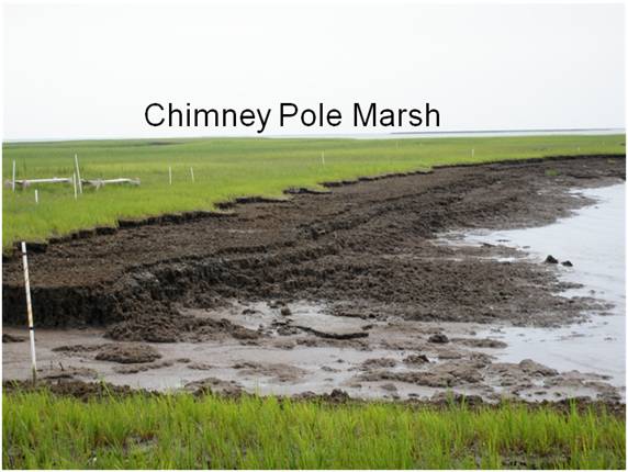 Chimney Pole Marsh